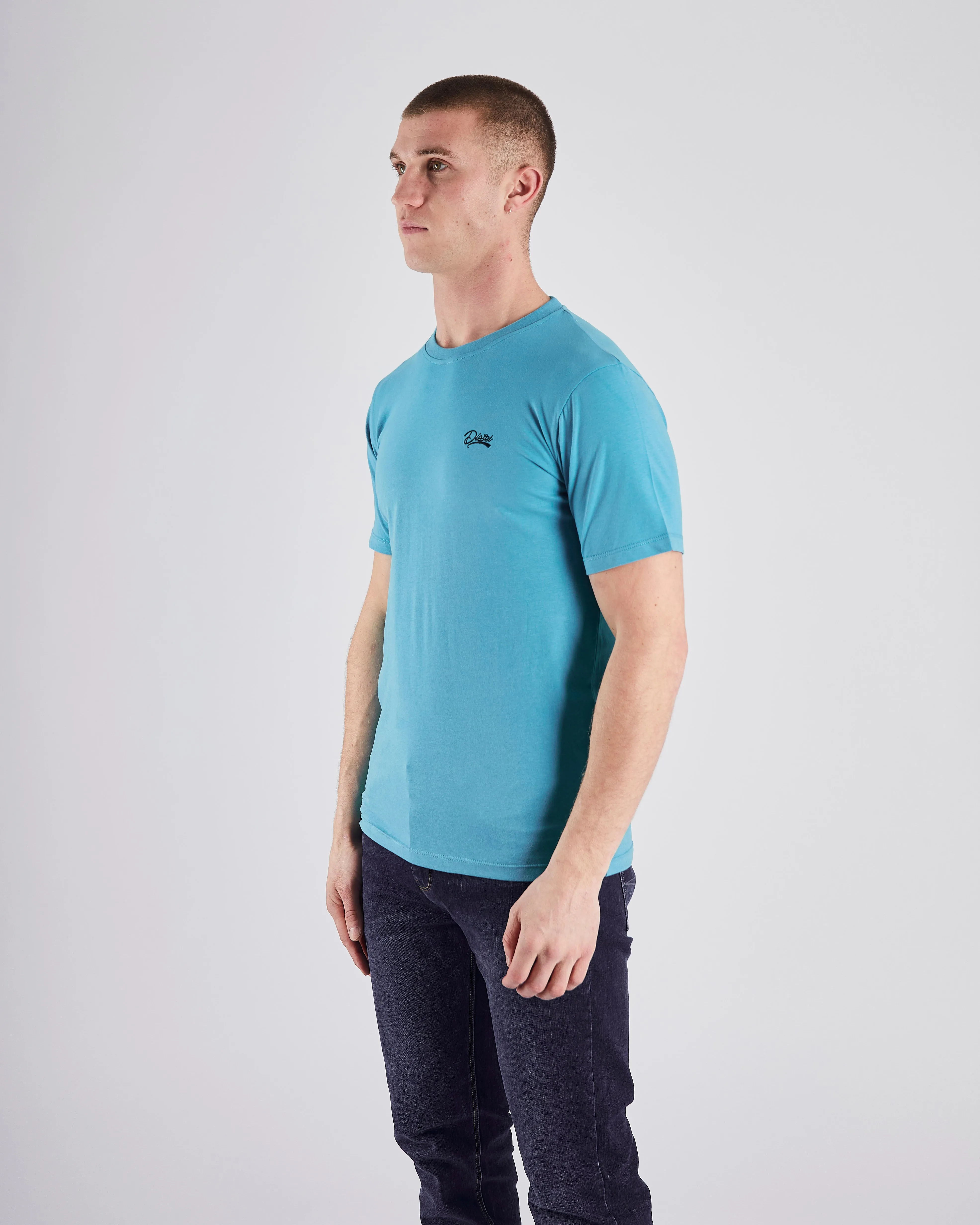 Basic Caden O Neck Tee Algiers Blue