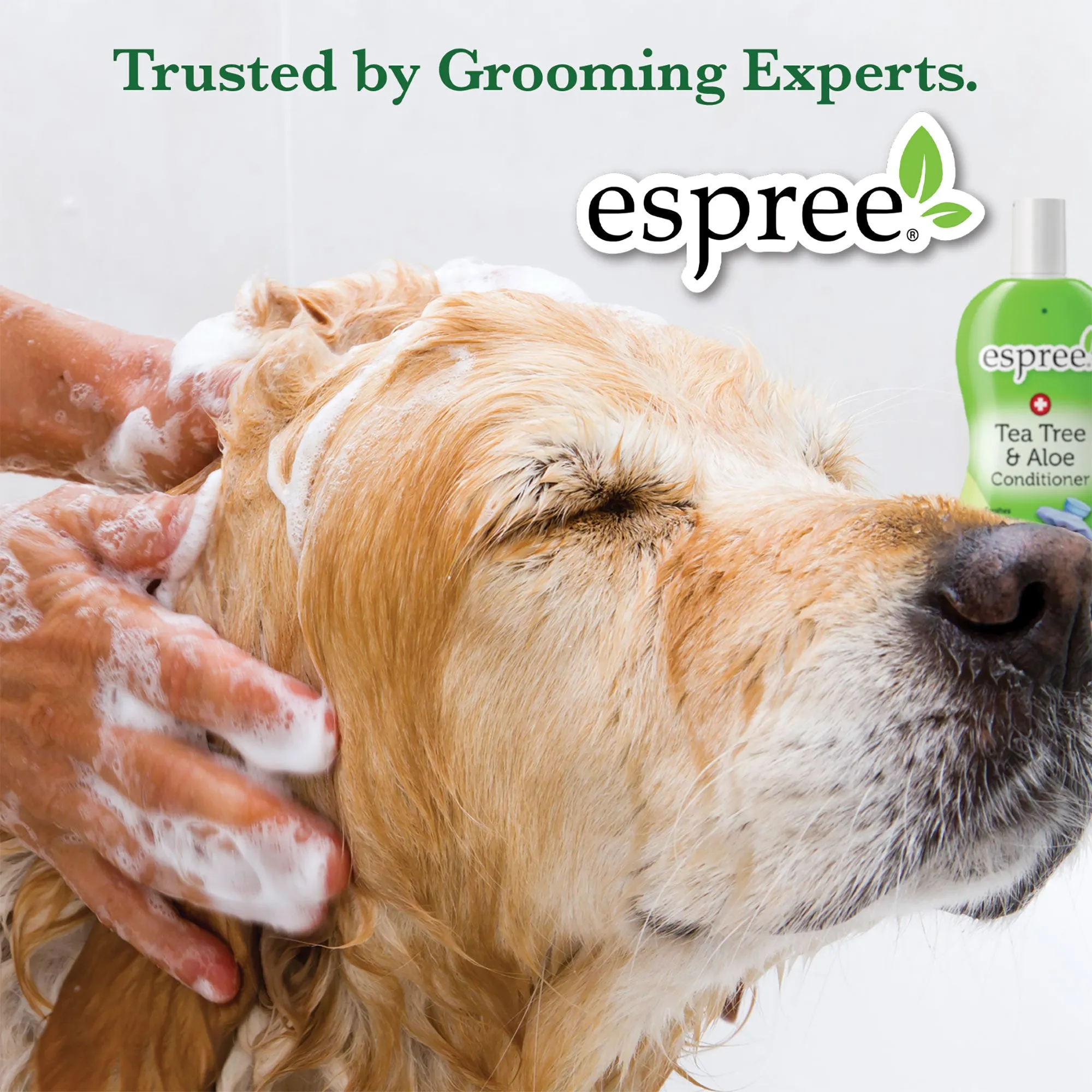 Espree Coconut Cream Shampoo For Dogs & Cats 20 Ounce