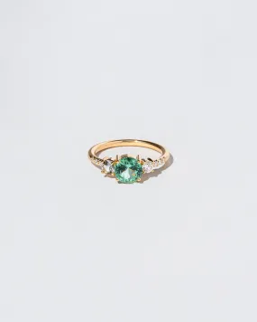 Orion Ring - Tourmaline